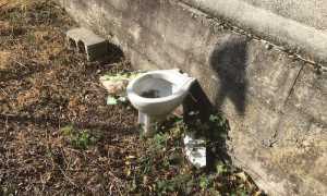 IMG 7048