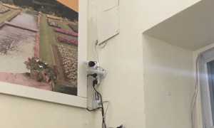 IMG 7092