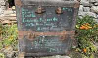 IMG 71351