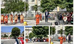 IMG 7461
