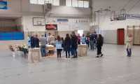 IMG 7726