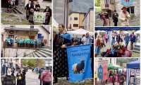 IMG 7843 2