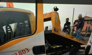 IMG 7858