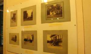 IMG 8357