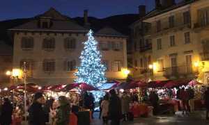 IMG 8640
