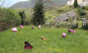 IMG 9427