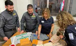 Immagine fotografica n 1