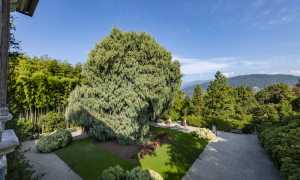 IsolaMadre Loggia del Cashmir