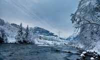 MUTZ Winter