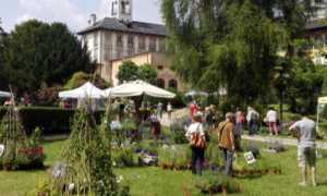 Menta rosmarino archivio