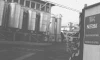 NESTLE