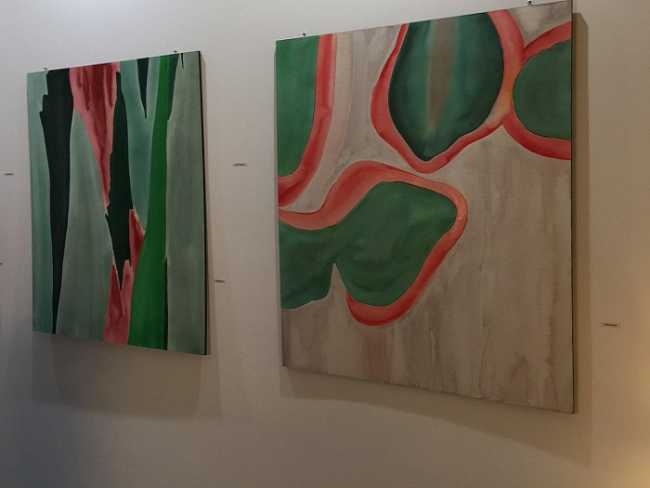 Omegna intro Cromatica