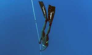 Omegna apnea