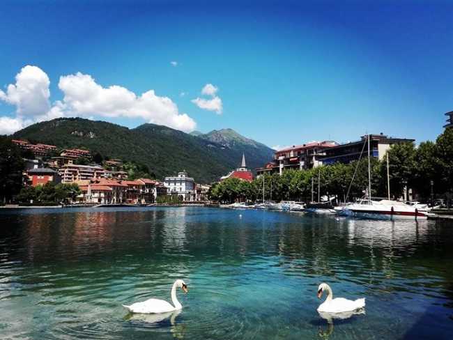 Omegna lago Cigni Summa