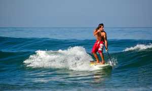 PADDLE