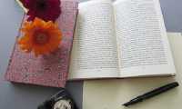 PRESENTAZIONE LIBROGozzano700