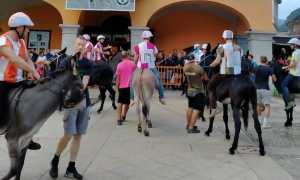 Palio Premosello 2022