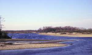 ParcoTicino