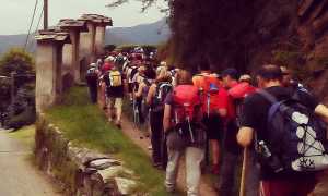 Peregrinatio repertorio