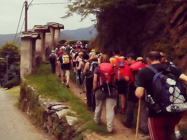 Peregrinatio repertorio