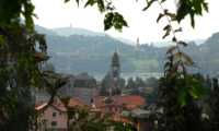 Pettenasco campanile fronde