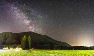 Pineta panoramica low modificata