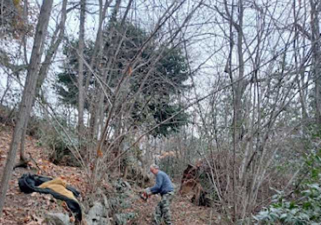 Pulizia sentiero Montorfano