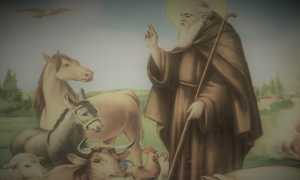 Sant Antonio Abate 700