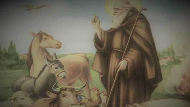 Sant Antonio Abate 700