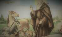 Sant Antonio Abate 700