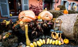 Santa Maria fuori di zucca 