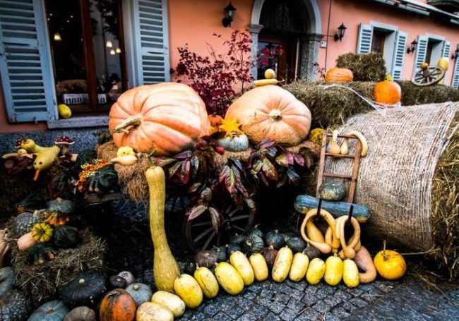 Santa Maria fuori di zucca 