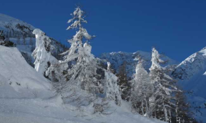 Schermata 2018 02 16 alle 11.12.07