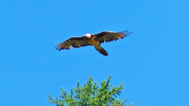 Schermata 2018 06 21 alle 14.29.06