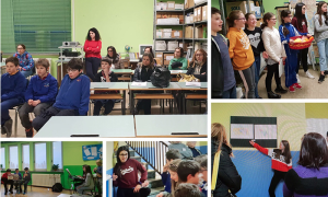 Schermata 2019 02 02 alle 17.59.06