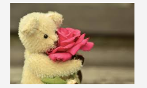 Schermata 2019 07 17 alle 09.46.02