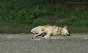 Schermata 2019 08 11 alle 09.39.57