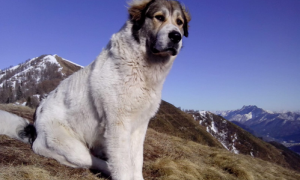 Schermata 2019 08 13 alle 11.02.49