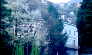 Schermata 2019 10 17 alle 11.33.36