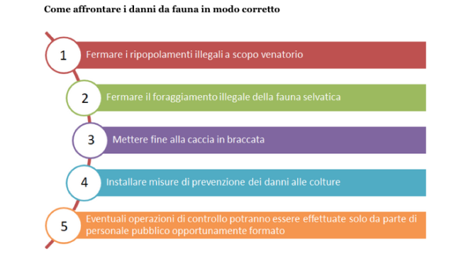 Schermata 2019 11 07 alle 16.58.08