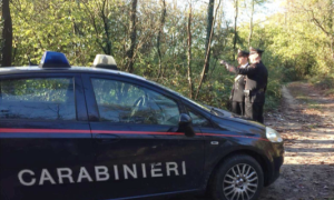 Schermata 2019 11 09 alle 12.38.18