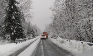 Schermata 2019 11 23 alle 11.06.43