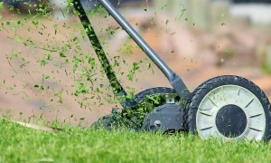 Schermata 2020 04 27 alle 09.53.56