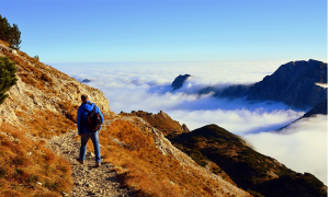 Schermata 2020 04 28 alle 09.35.49