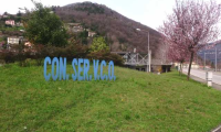 Schermata 2020 08 03 alle 14.29.03