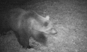 Schermata 2020 09 19 alle 10.18.39