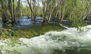 Schermata 2020 10 07 alle 17.51.46