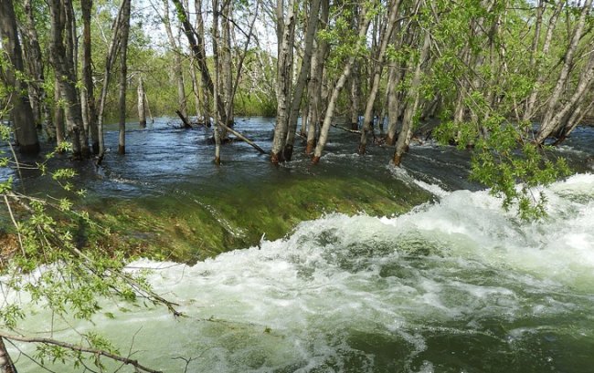 Schermata 2020 10 07 alle 17.51.46