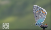 Schermata 2021 08 07 alle 09.35.15