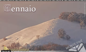 Schermata 2021 12 17 alle 09.50.18